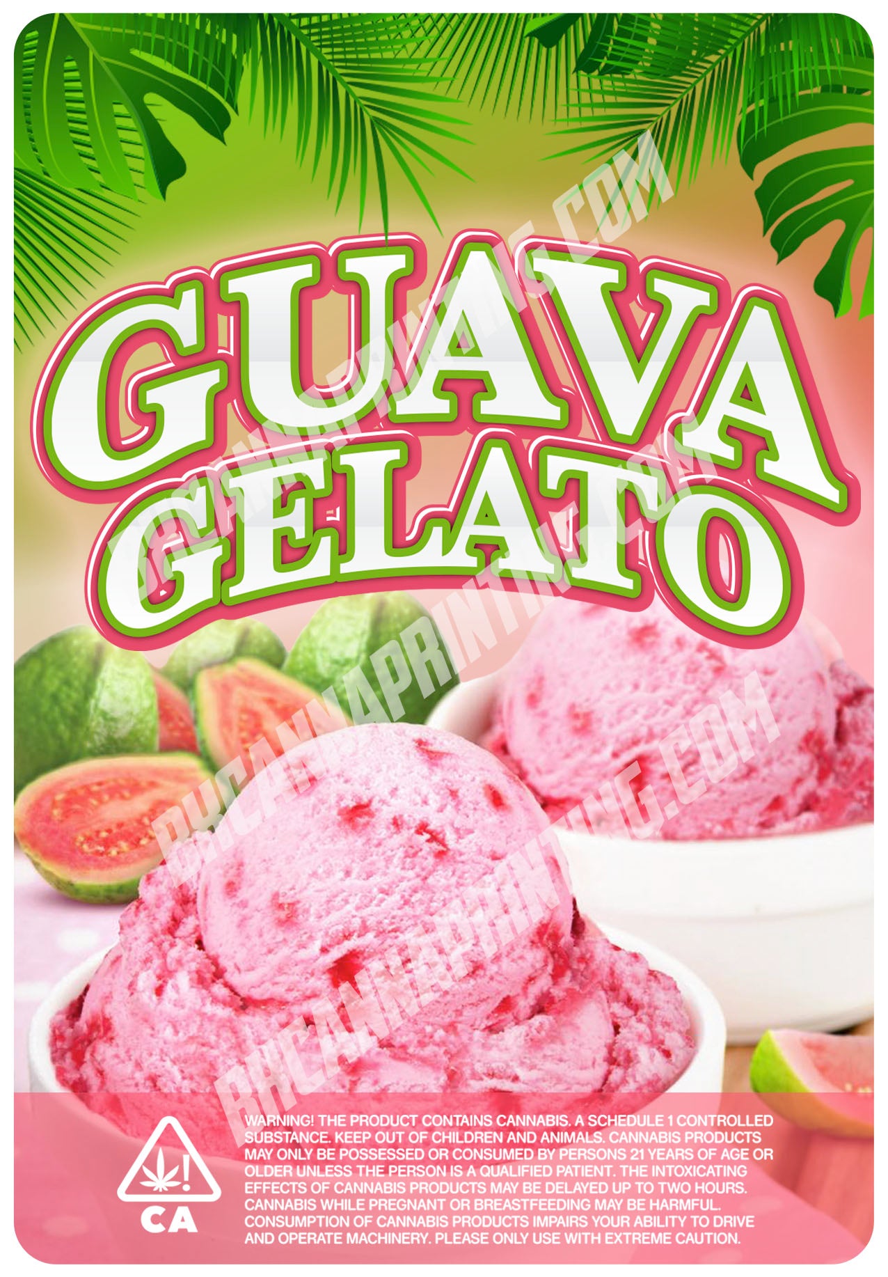 Guava Gelato